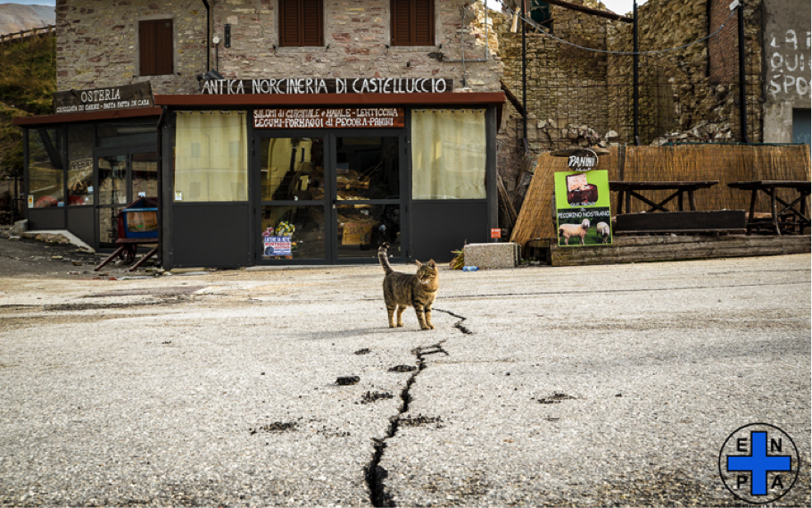 Vicini alla terra - Giunti - Ballesra